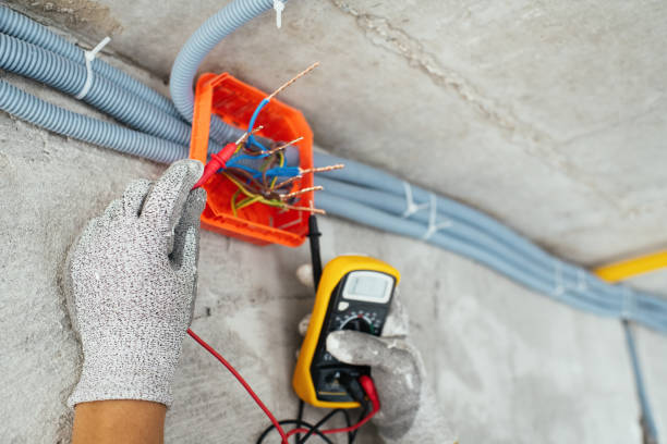 Best Outdoor Lighting Installation  in Crete, IL